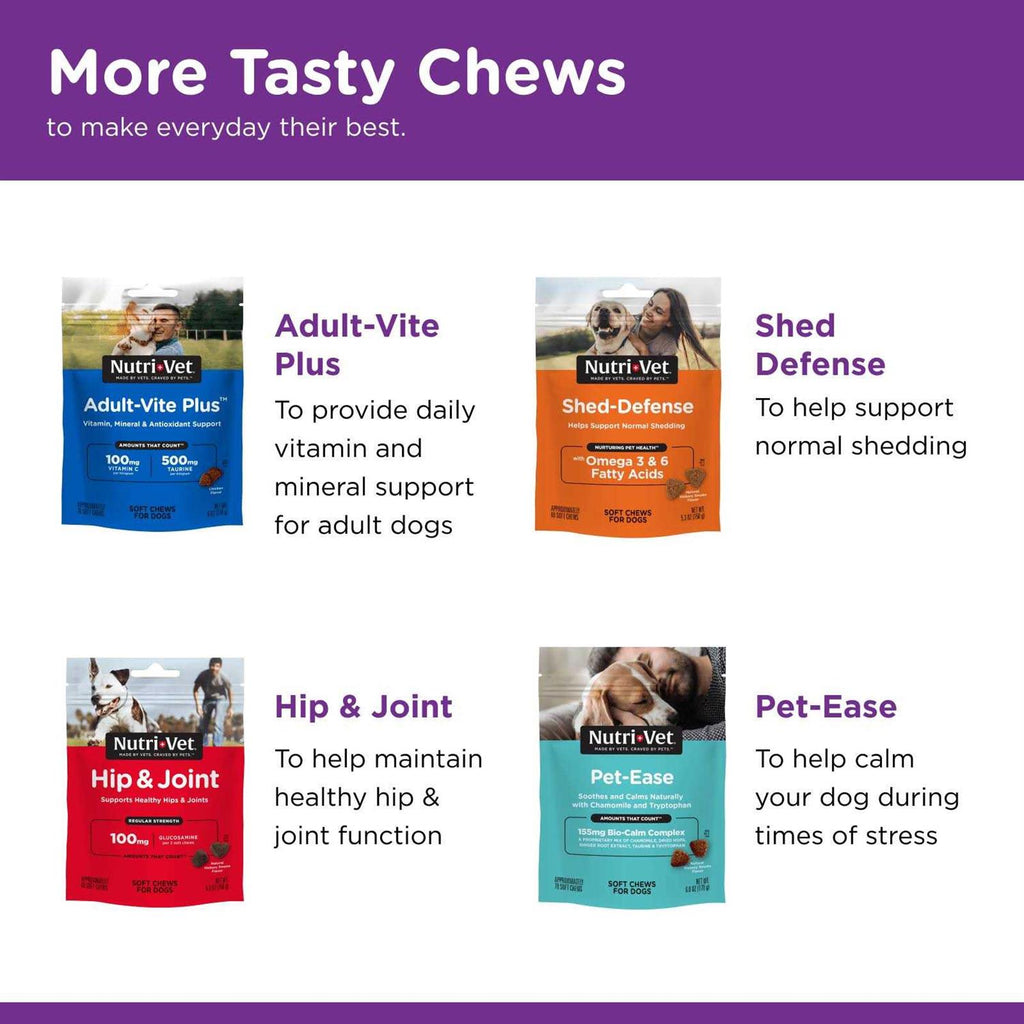 Pre and Probiotic Soft Chews for Dogs K696376