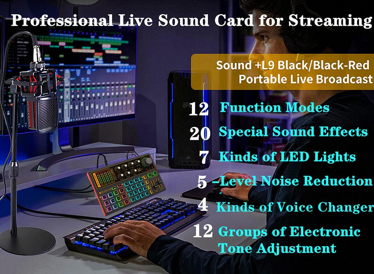 Professional Audio Mixer Sound Card with DJ Mixer Effects, Voice Changer and LED Light, Pack of 2 P61880