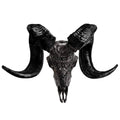 Genuine Ram Skull with Horns X5307