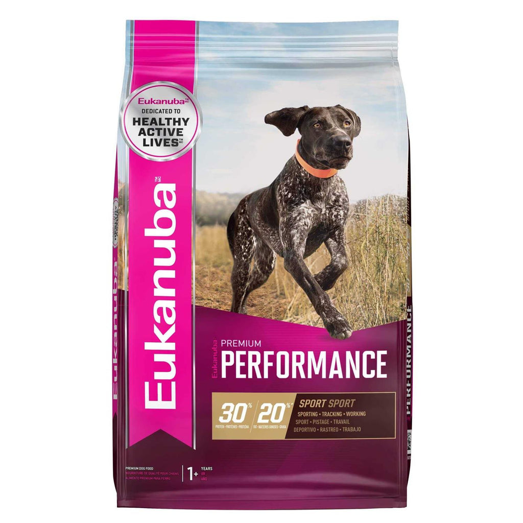 Dry Dog Food Y512566