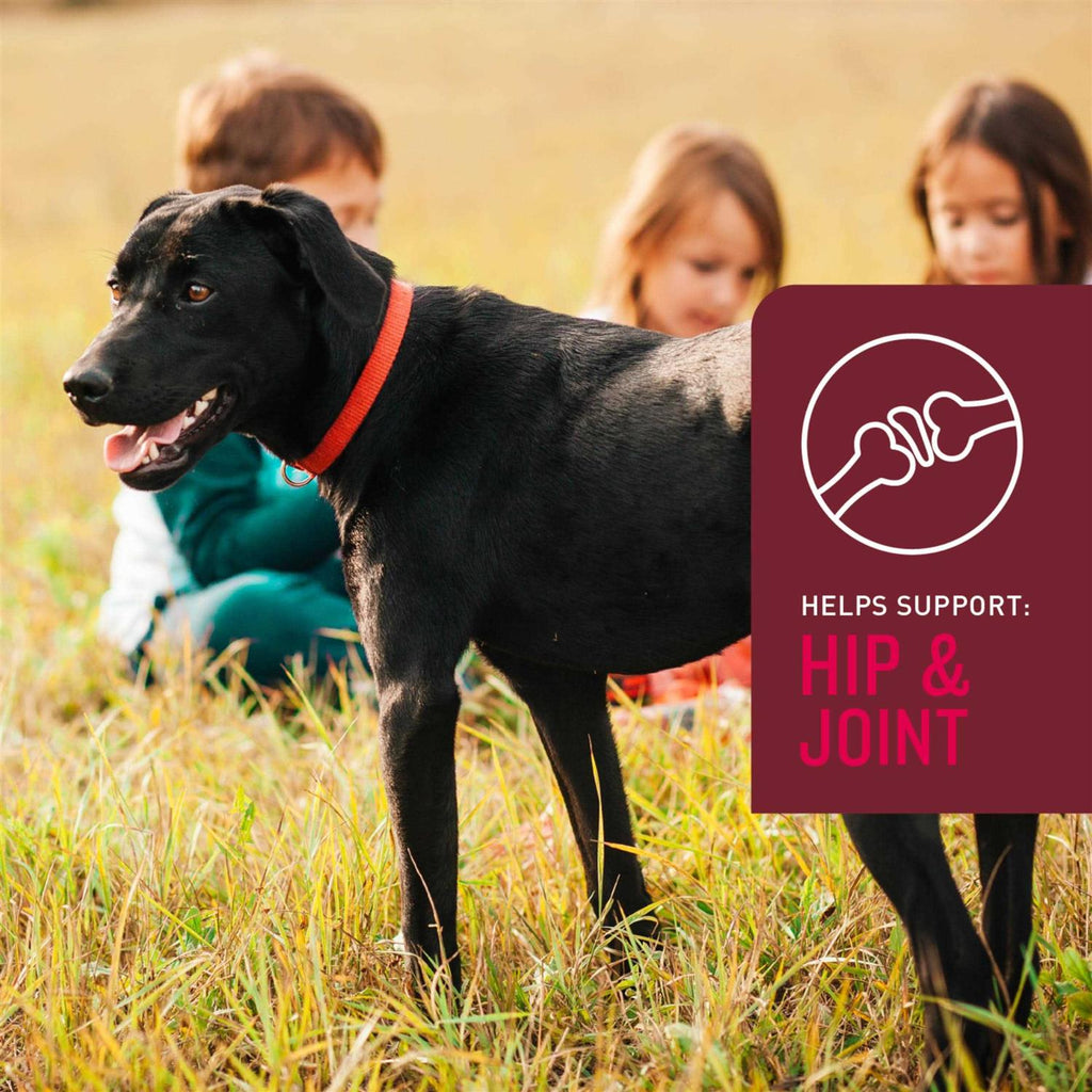 Soft Chews for Dogs O90556