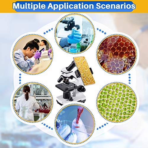 100X-2000X Compound Microscope with Slides X530