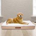 Extra Large Orthopedic Pet Bed G8858
