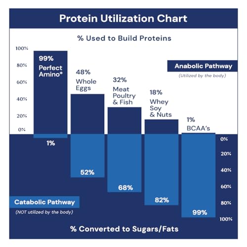 PerfectAmino Powder Mixed Berry 120 Servings 8 Essential Amino Acids Supplement N57395