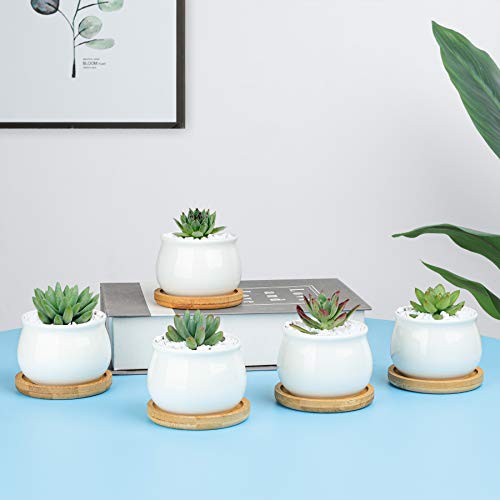 White Ceramic Mini Succulent Pots with Bamboo Trays Set of 6 G4844