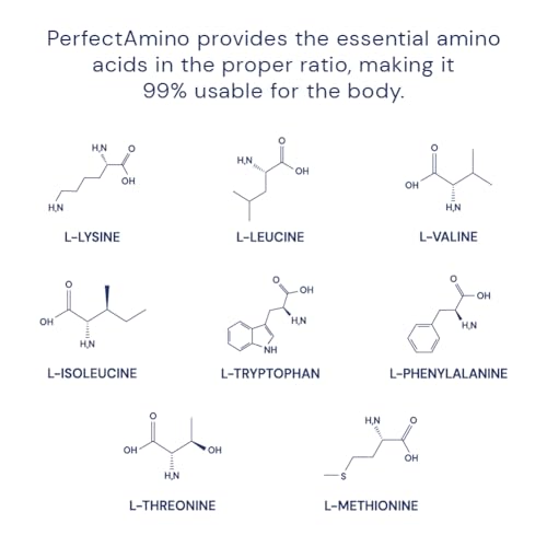 PerfectAmino Powder Mixed Berry 120 Servings 8 Essential Amino Acids Supplement N57395