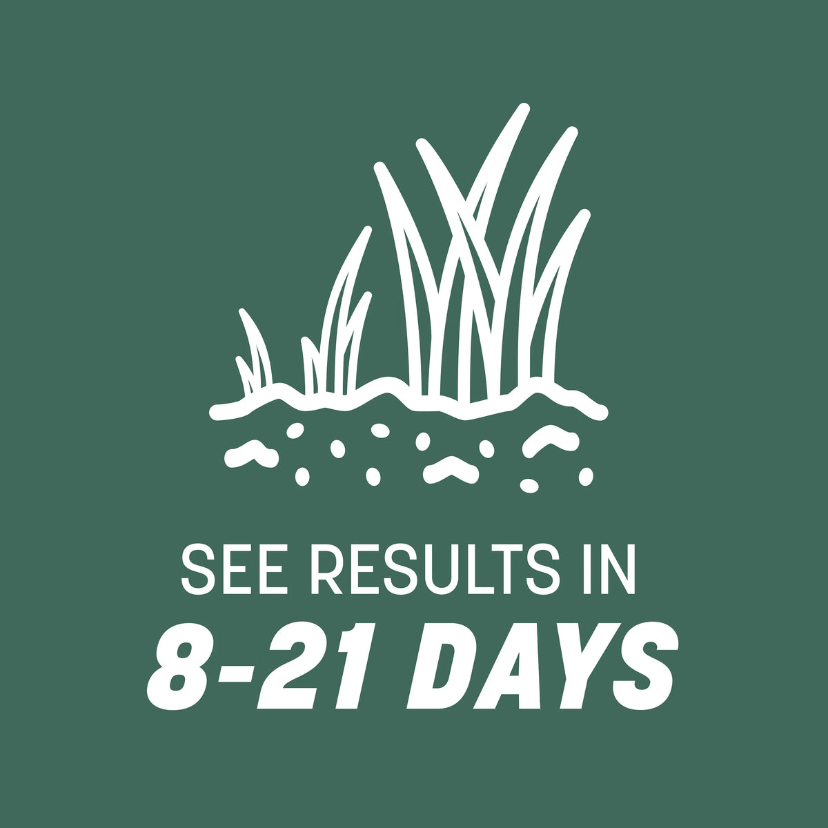 Kentucky 31 Tall Fescue Grass Seed, 20 lb. X322733