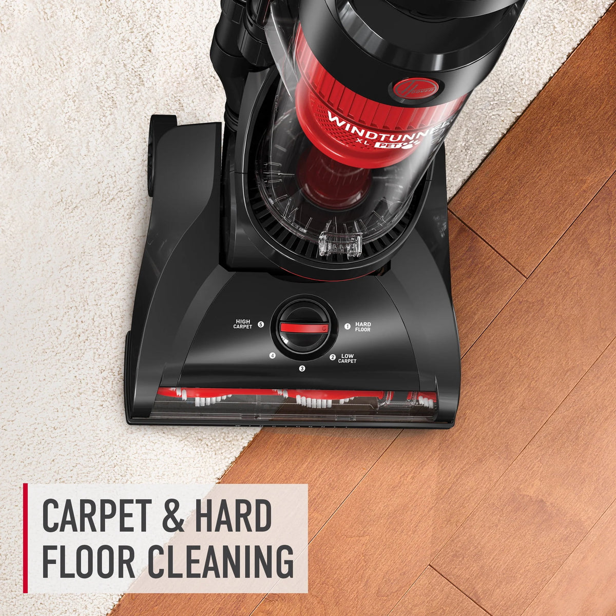 Bagless Upright Vacuum V249
