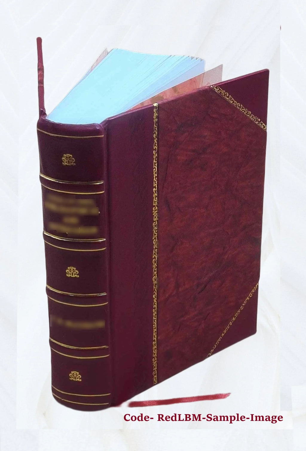 Leather Bound Book I624