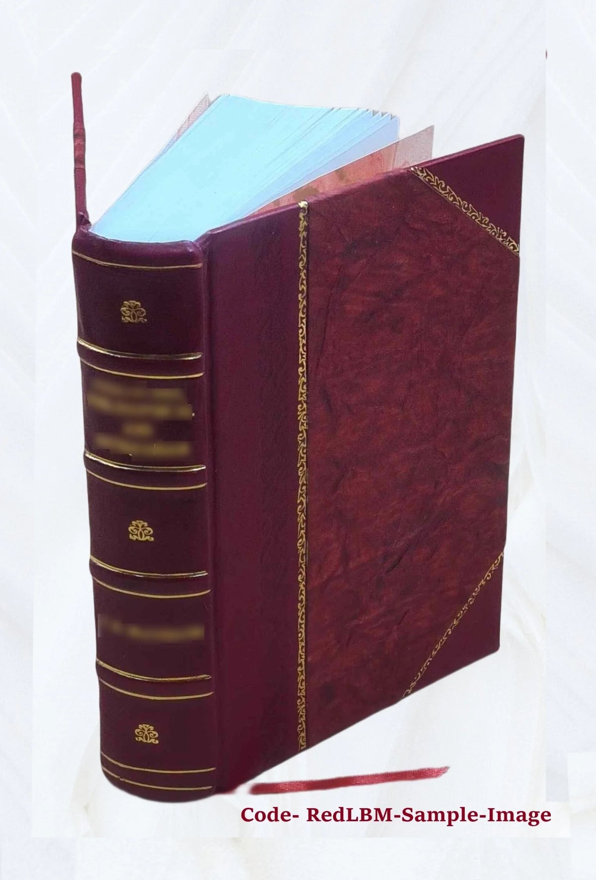 Leather Bound Book I624