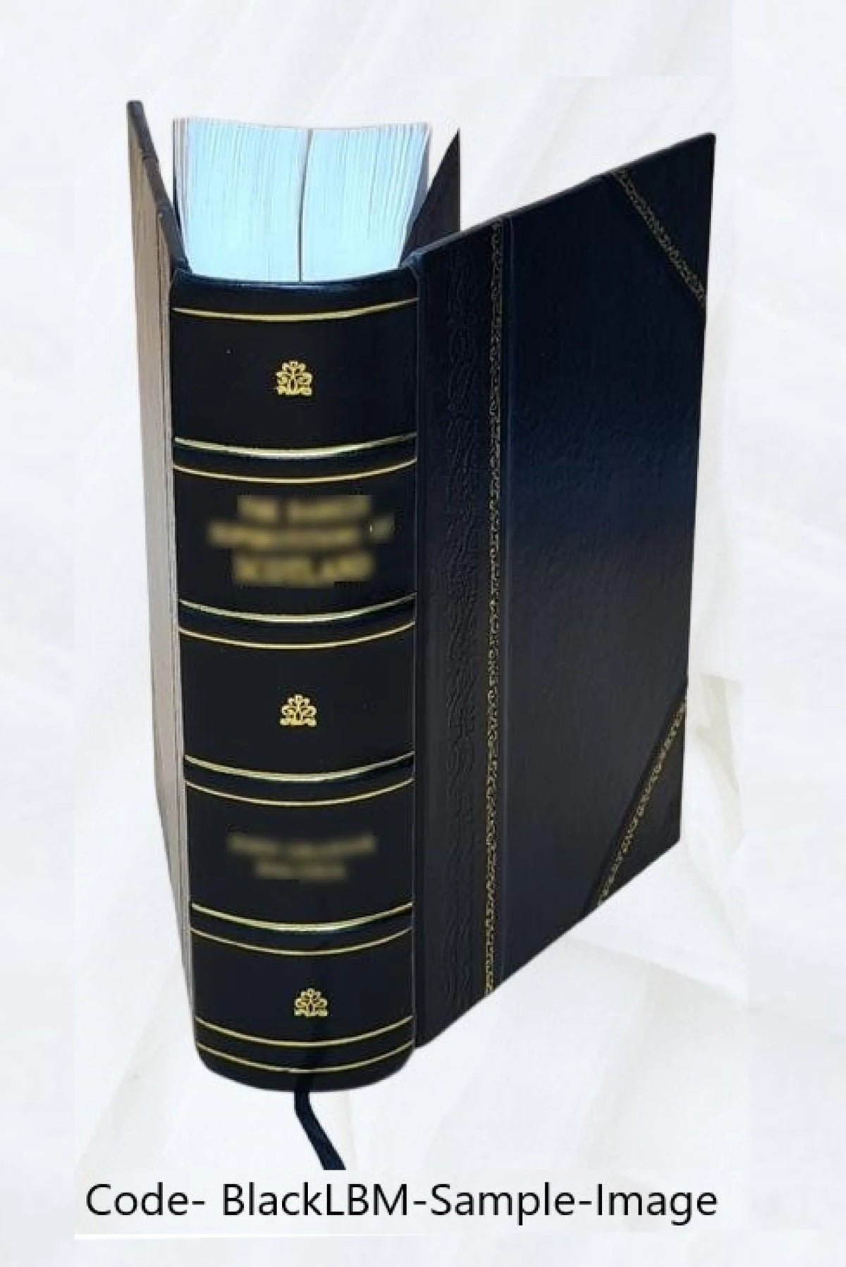 Leather Bound Book I624