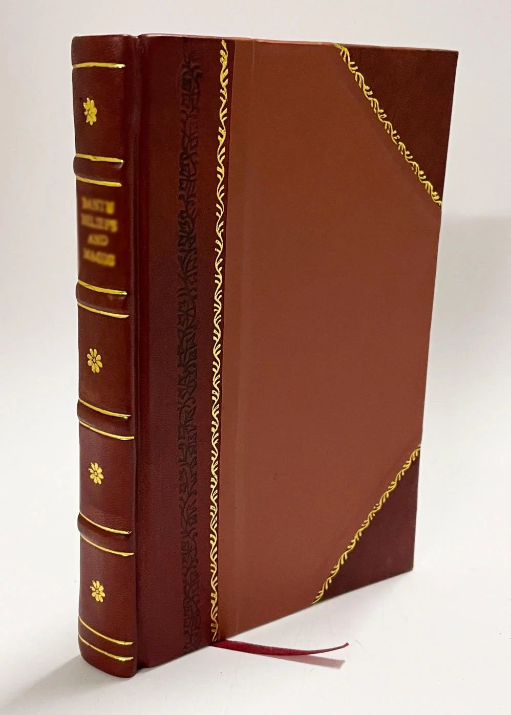 Homeopathic Domestic Physician Leather Bound Z30217