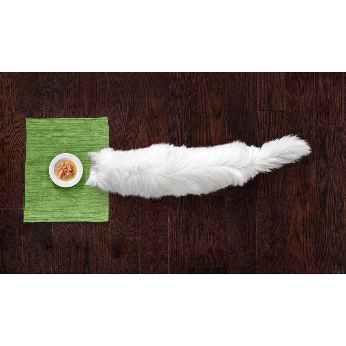 Cat Food F6281