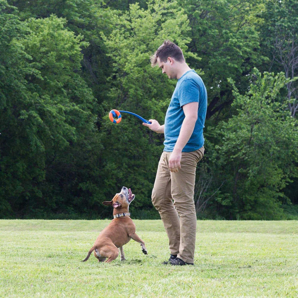 RingChaser Pet Supplies A20899