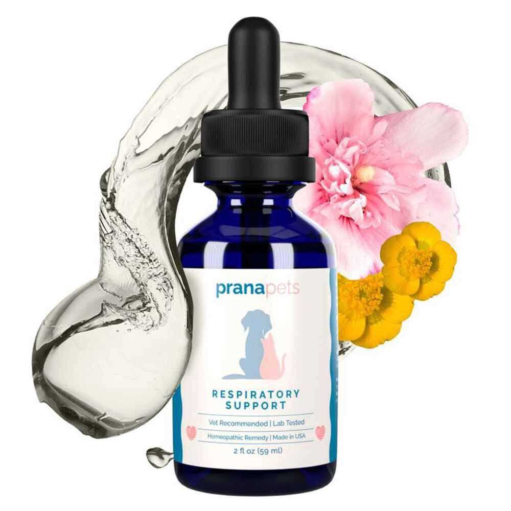 Respiratory Support Supplement for Dogs & Cats M4297