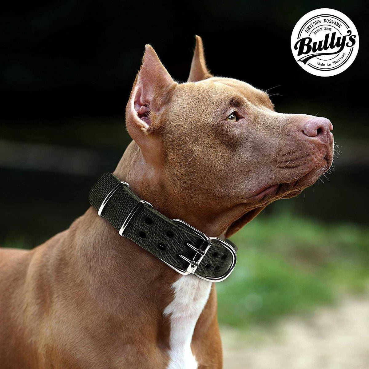 Dog Collar for Large Dogs W480917