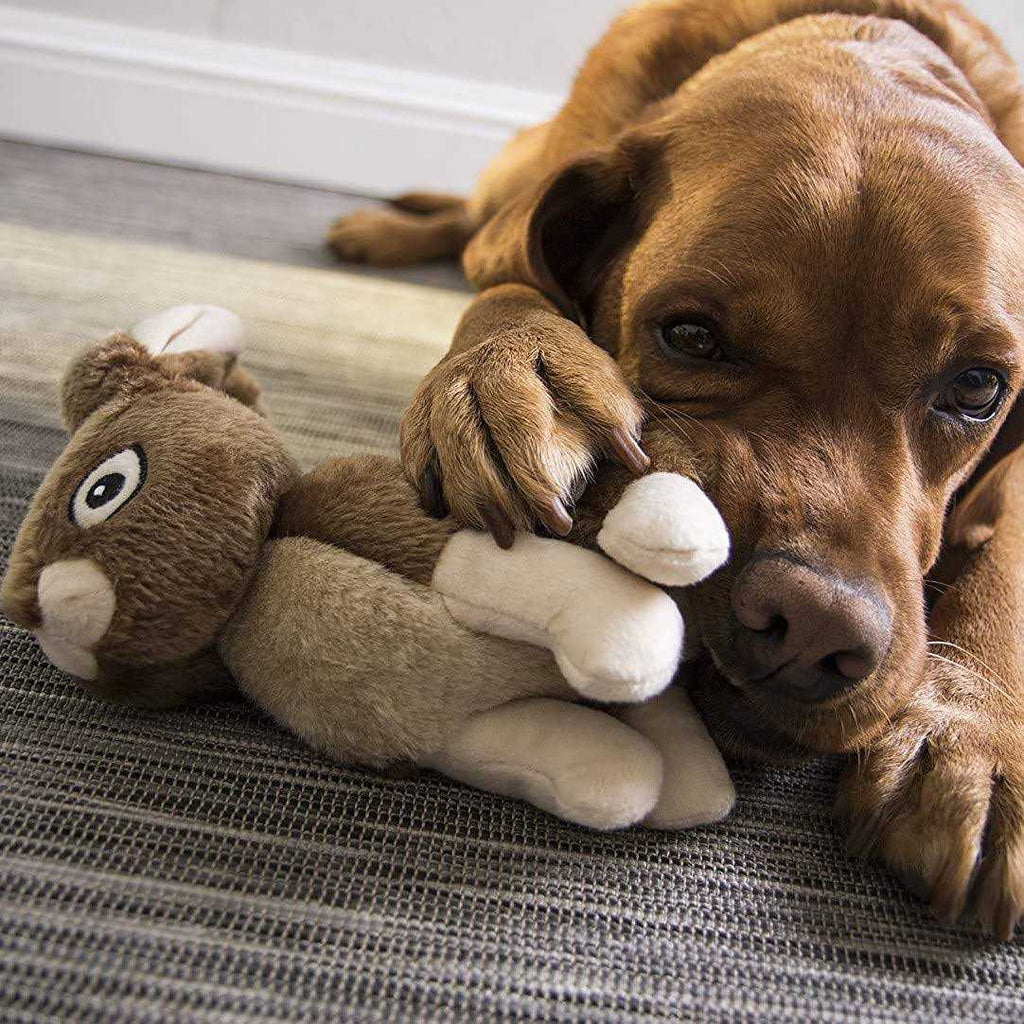 Rabbit Dog Toy T671
