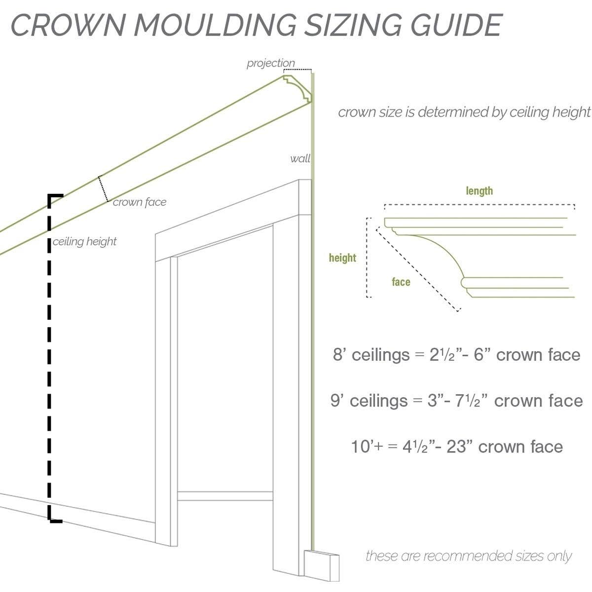 Classic Smooth Crown Moulding F552
