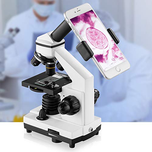 100X-2000X Compound Microscope with Slides X530