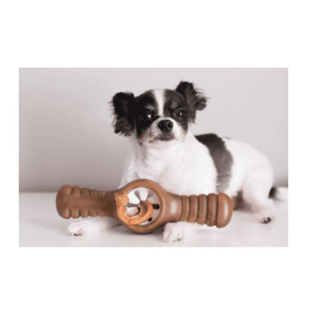 Bacon Dog Chew Toy X505