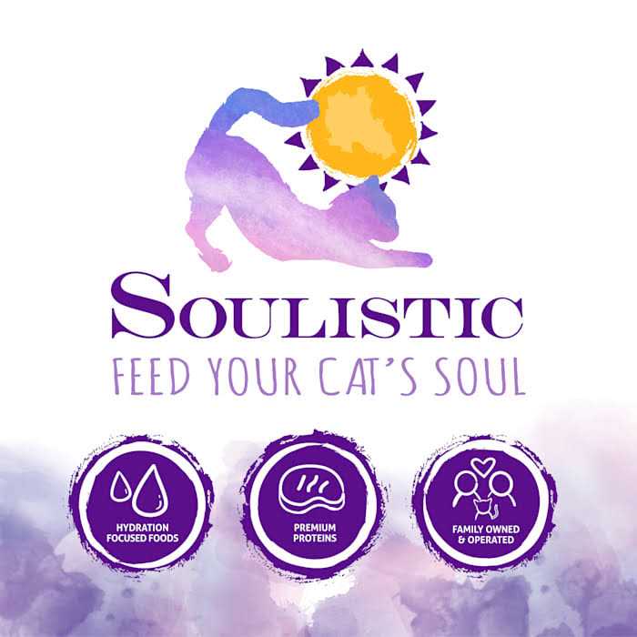 Wet Cat Food Variety Pack L723