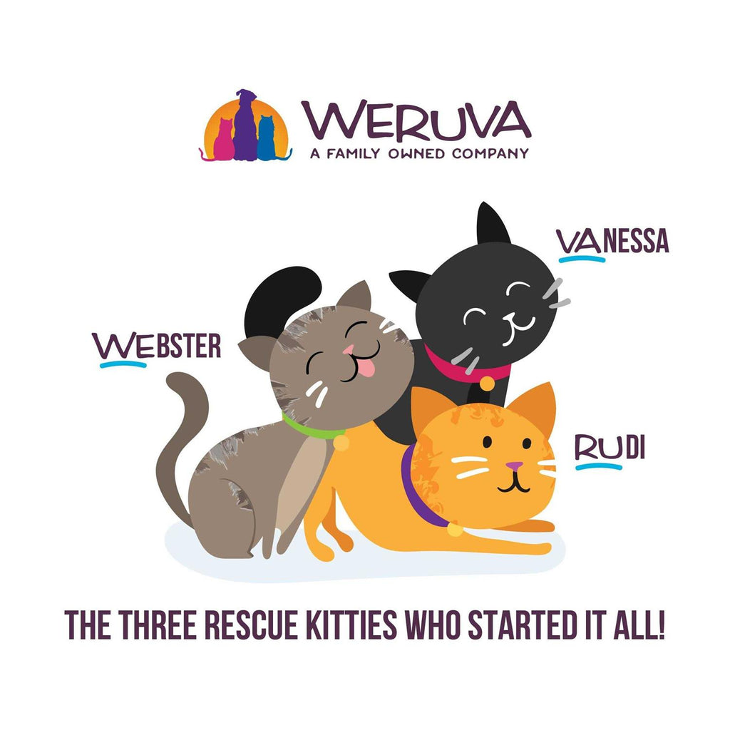 Wet Cat Food Pouches Y3044