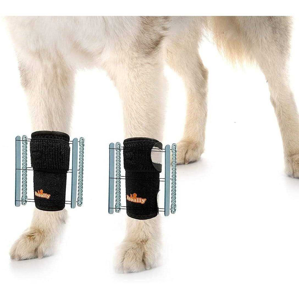 3-in-1 Dog Front Leg Support Brace B126015