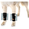 3-in-1 Dog Front Leg Support Brace B126015
