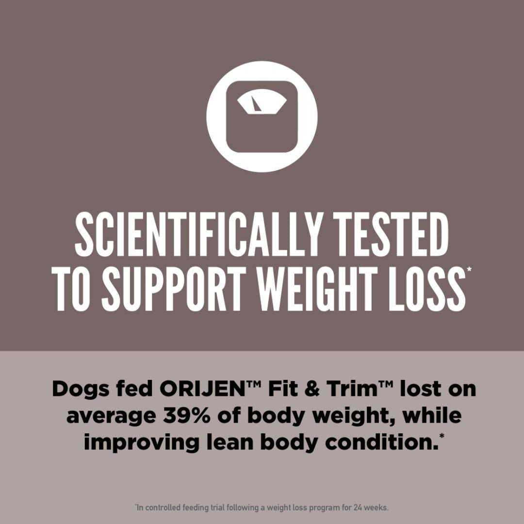 Dry Dog Food V3123