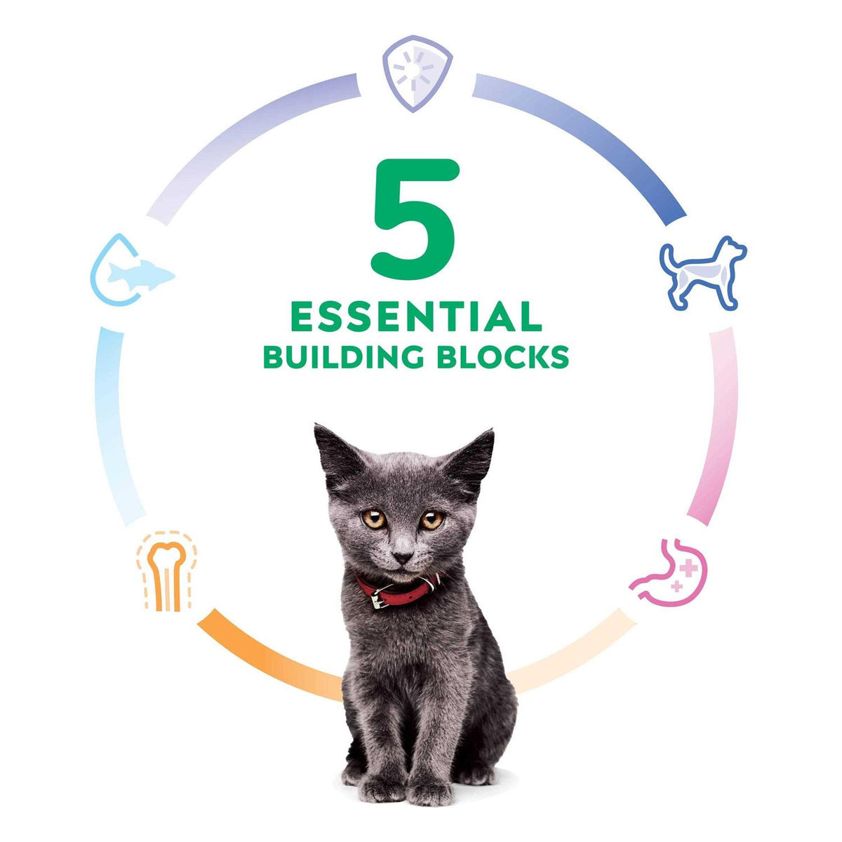 Indoor Kitten Dry Cat Food I539153