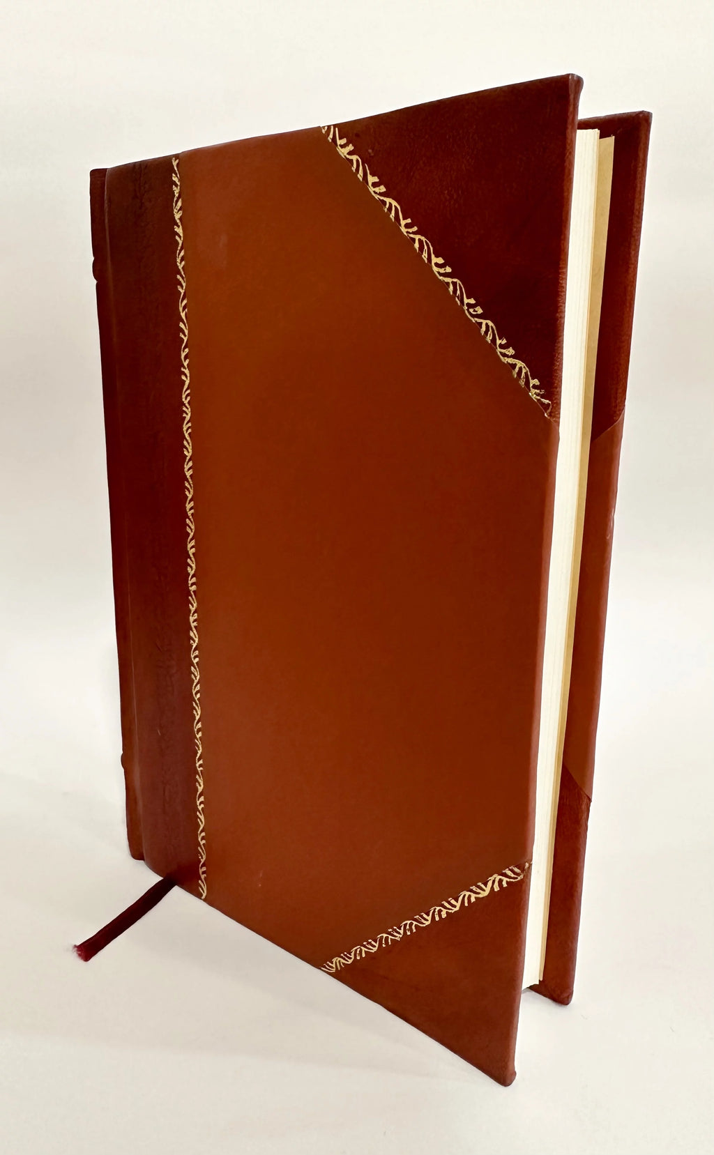 Leather Bound Z488607