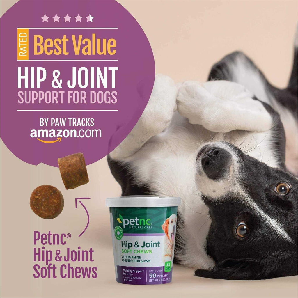 Hip and Joint Soft Chews for Dogs B845641