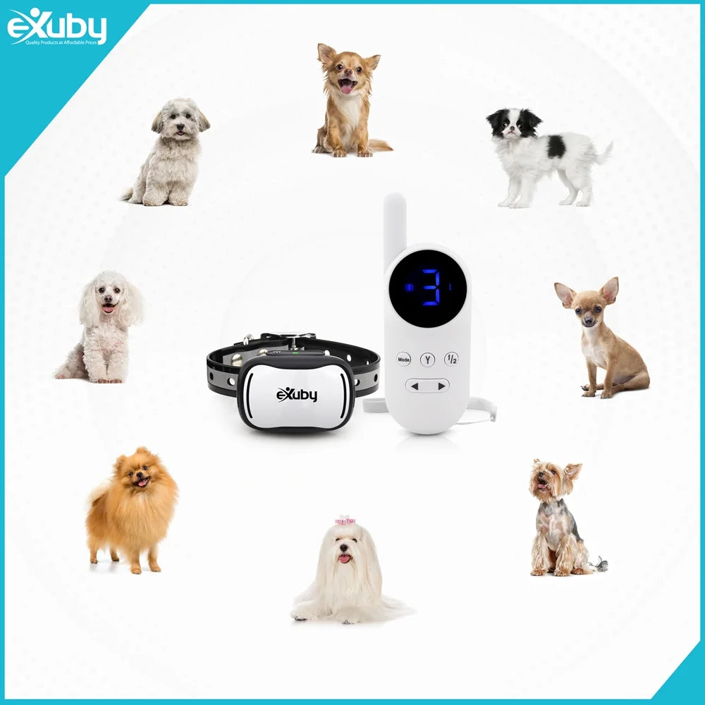 Tiny Shock Collar for Small Dogs 5-15lbs with Remote R889